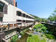 -Local泰莲庭(虹鳟鱼店)