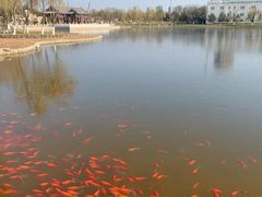 -西海子公园