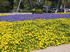 -浙江大学(玉泉校区)