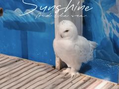 -成都浩海立方海洋公园