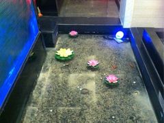 -榕树下海鲜馆(坪山路店)