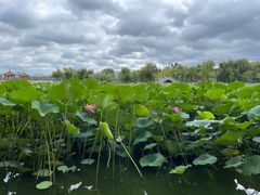 -长春市南湖公园