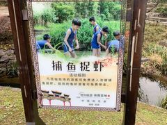 -常德桃花源景区