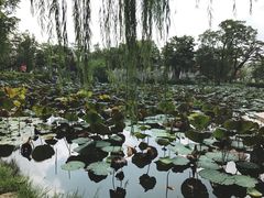 -惠州西湖丰渚园