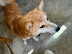 -三目仓咖啡(贤南路店)