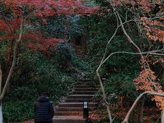 -西湖风景区-江洋畈生态公园