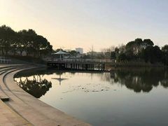 -新江湾城公园
