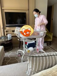 -巍阁高端月子会所