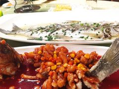 -大鸿运酒店·苏州菜·松鼠桂鱼(观前街店)