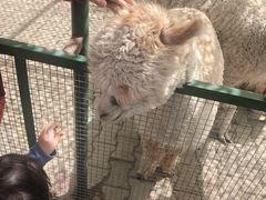 -新疆天山野生动物园