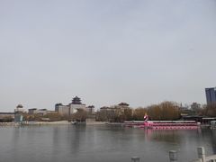 -莲花池公园