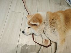 -YCHL Studios健身工作室(市二宫店)