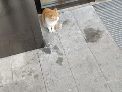 -全季酒店(成都九眼桥店)