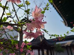 -召稼楼古镇