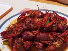 -杨氏青龙虾·羊蝎子(托乐嘉店)