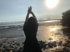 -宝安西湾红树林湿地公园