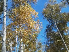 -长春市南湖公园