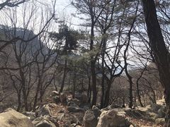 -沂蒙山旅游区龟蒙景区