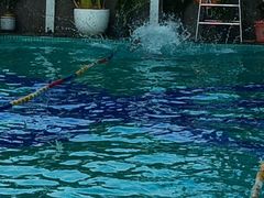 -威蒂斯国际健身游泳会所(东莞庄路店)