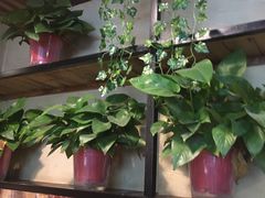 -陆记牛庄·碳锅龙虾烧烤(爱上花园店)