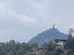 -南山植物园