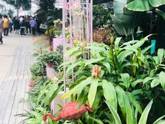 开心巴比肯农场花园烧烤-三圣里·中餐宴请·自助烤肉·烤全羊·柴火鸡(旗舰店)
