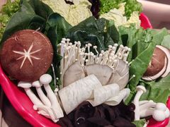 -额尔敦涮肉自助(摩尔城店)