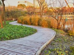-上海吴淞炮台湾国家湿地公园