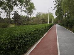 -绿堤公园