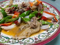 -煲来饱去冷水鱼