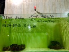 -海盗餐厅