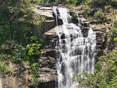 -海南热带雨林国家公园吊罗山景区