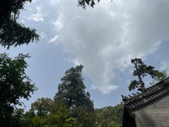 -潭柘寺景区