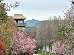 -茅山东方盐湖城景区