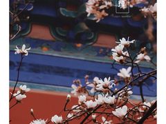 -天坛公园