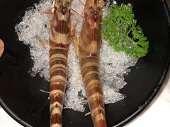 -鲜入围煮花胶鸡海鲜火锅