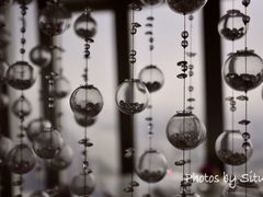 -广州四季酒店·佰鲜汇·现代法餐