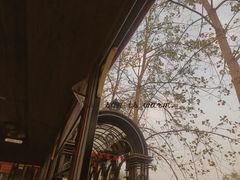 -合肥滨湖国家森林公园