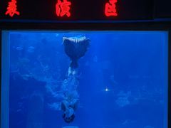 -太平洋海底世界