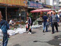 -哈尔滨道外花鸟鱼市场
