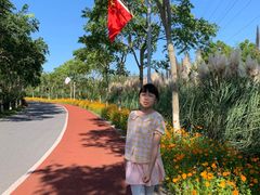 -上海长兴岛郊野公园