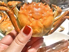 河蟹-海天盛宴新派海鲜自助餐厅(群力店)