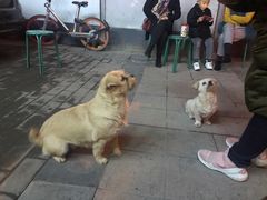 -老殷锅仔