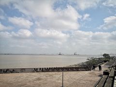 -上海滨江森林公园
