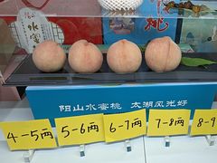 -老袁家蜜桃农场·阳山水蜜桃