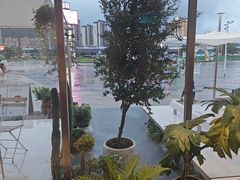 -喜茶(珠海华发商都店)