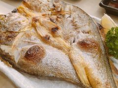 -禾绿寿司·定食·拉面·烧炸(宝安大仟里店)