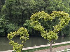 -鲁镇