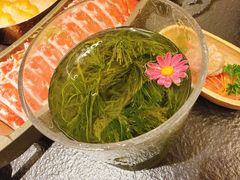 -季季山·云南野生菌火锅(上海首店)