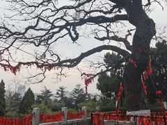 -烟台山景区